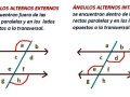 ¿Cuáles son los ángulos alternos internos y externos?