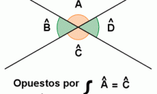 ¿Cuáles son los ángulos opuestos por el vértice?